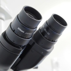 Masses spectrometry